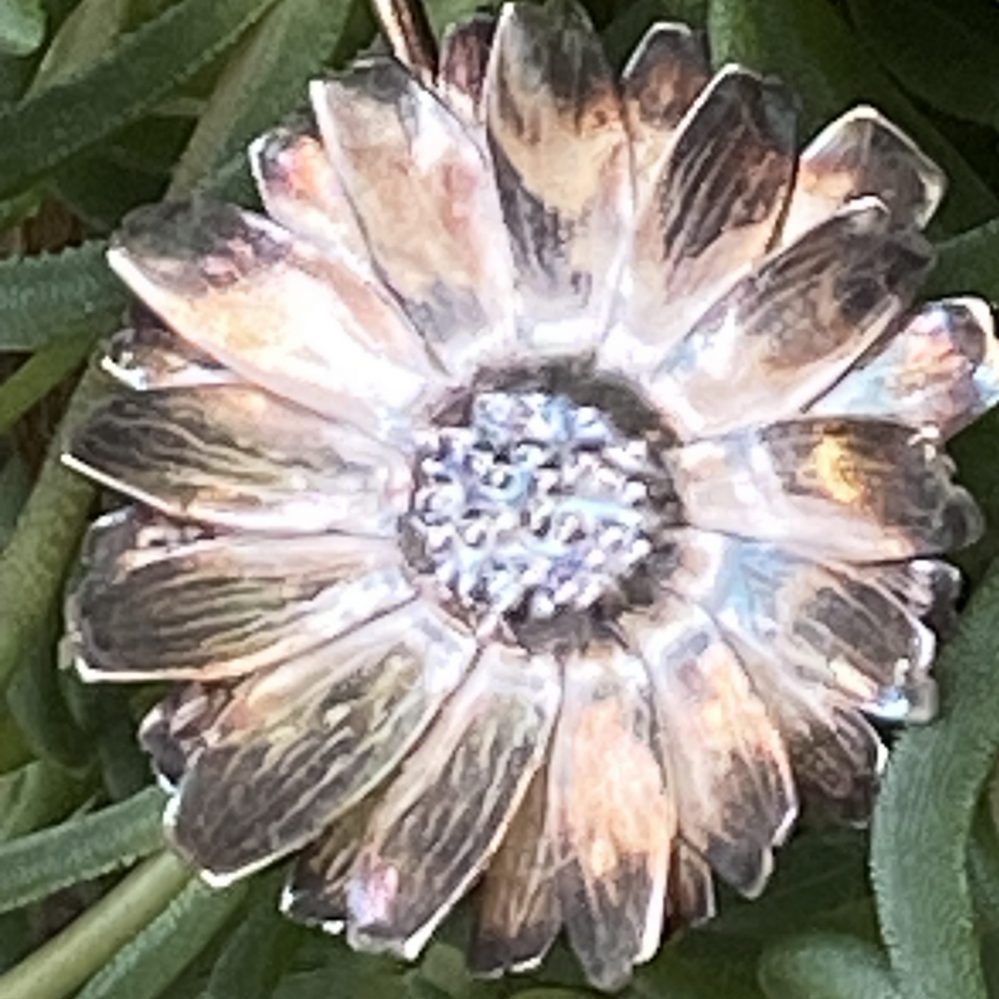 Pendant – Sterling silver Moon Daisy flower